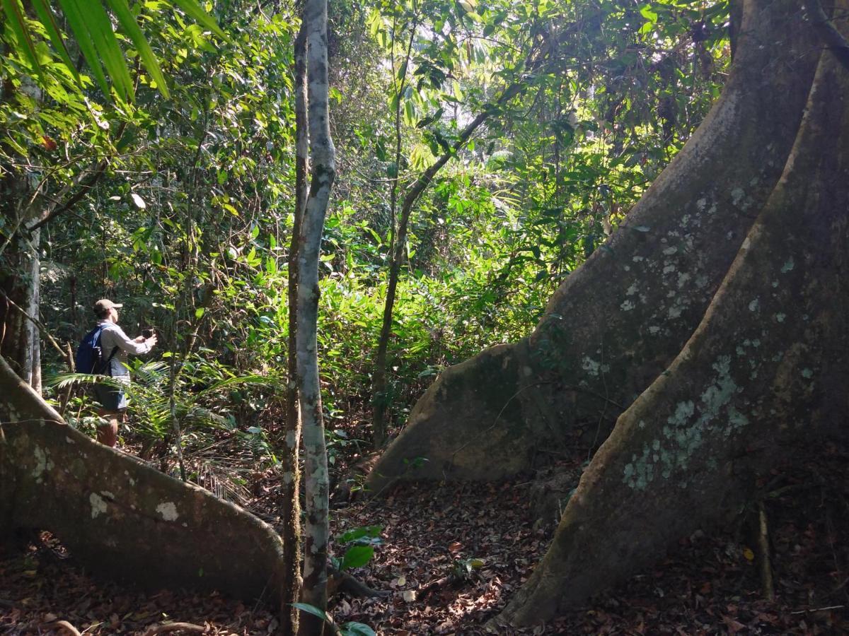 Passiflora Lodge Tambopata ปูแอร์โต มัลโดนาโด ภายนอก รูปภาพ