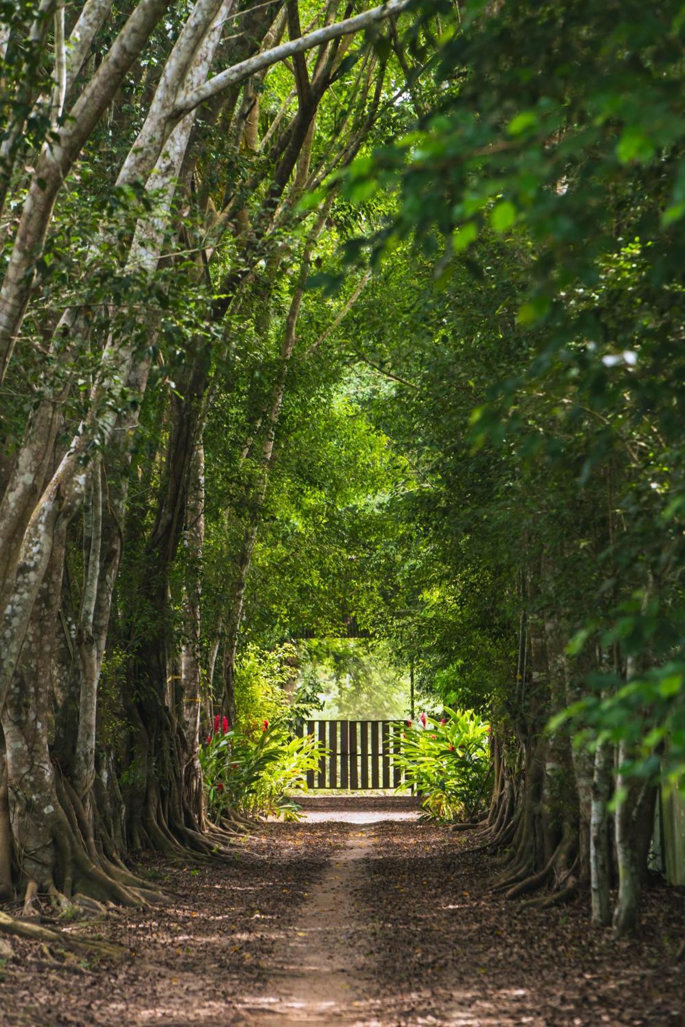 Passiflora Lodge Tambopata ปูแอร์โต มัลโดนาโด ภายนอก รูปภาพ