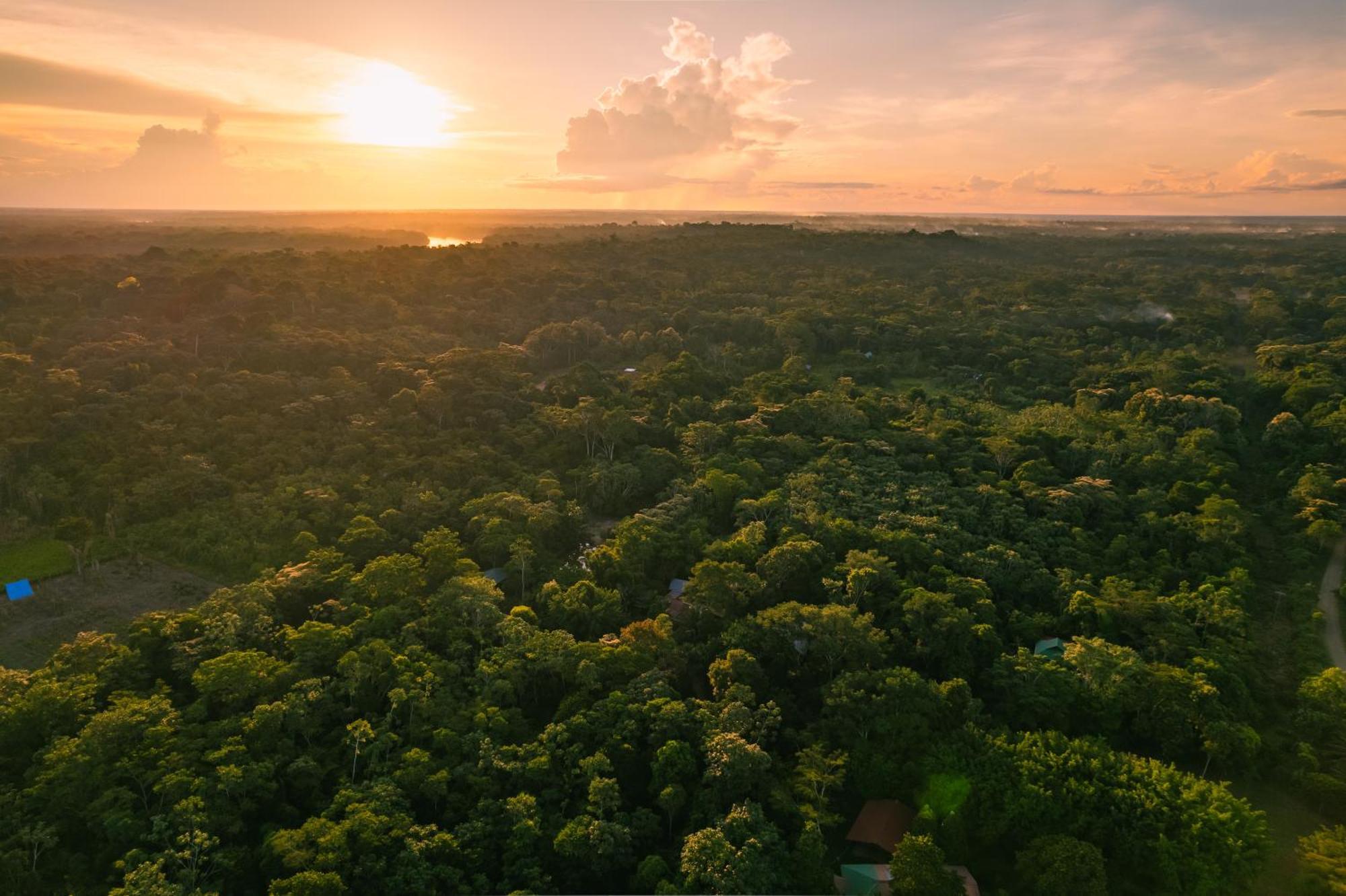 Passiflora Lodge Tambopata ปูแอร์โต มัลโดนาโด ภายนอก รูปภาพ
