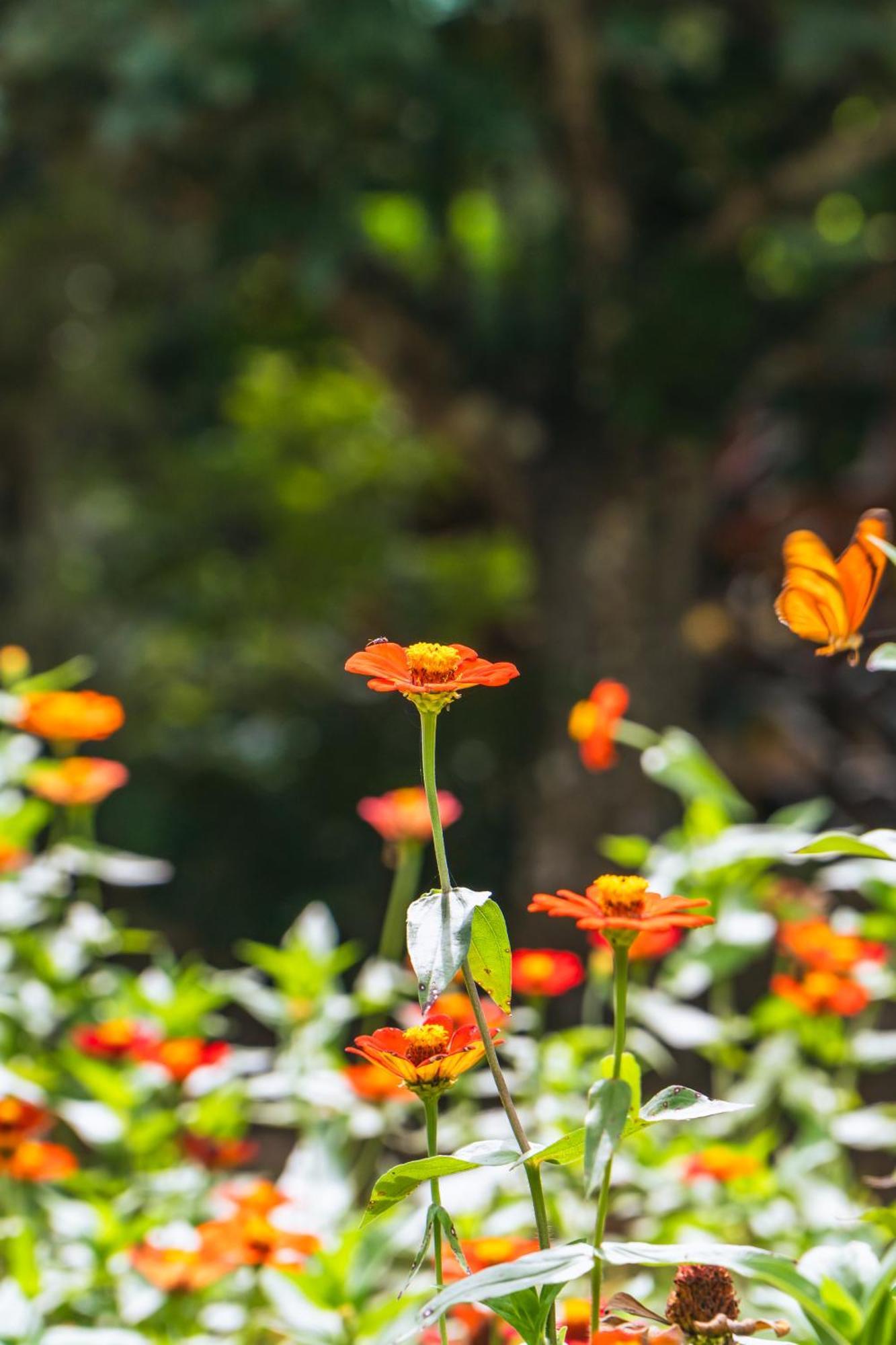 Passiflora Lodge Tambopata ปูแอร์โต มัลโดนาโด ห้อง รูปภาพ
