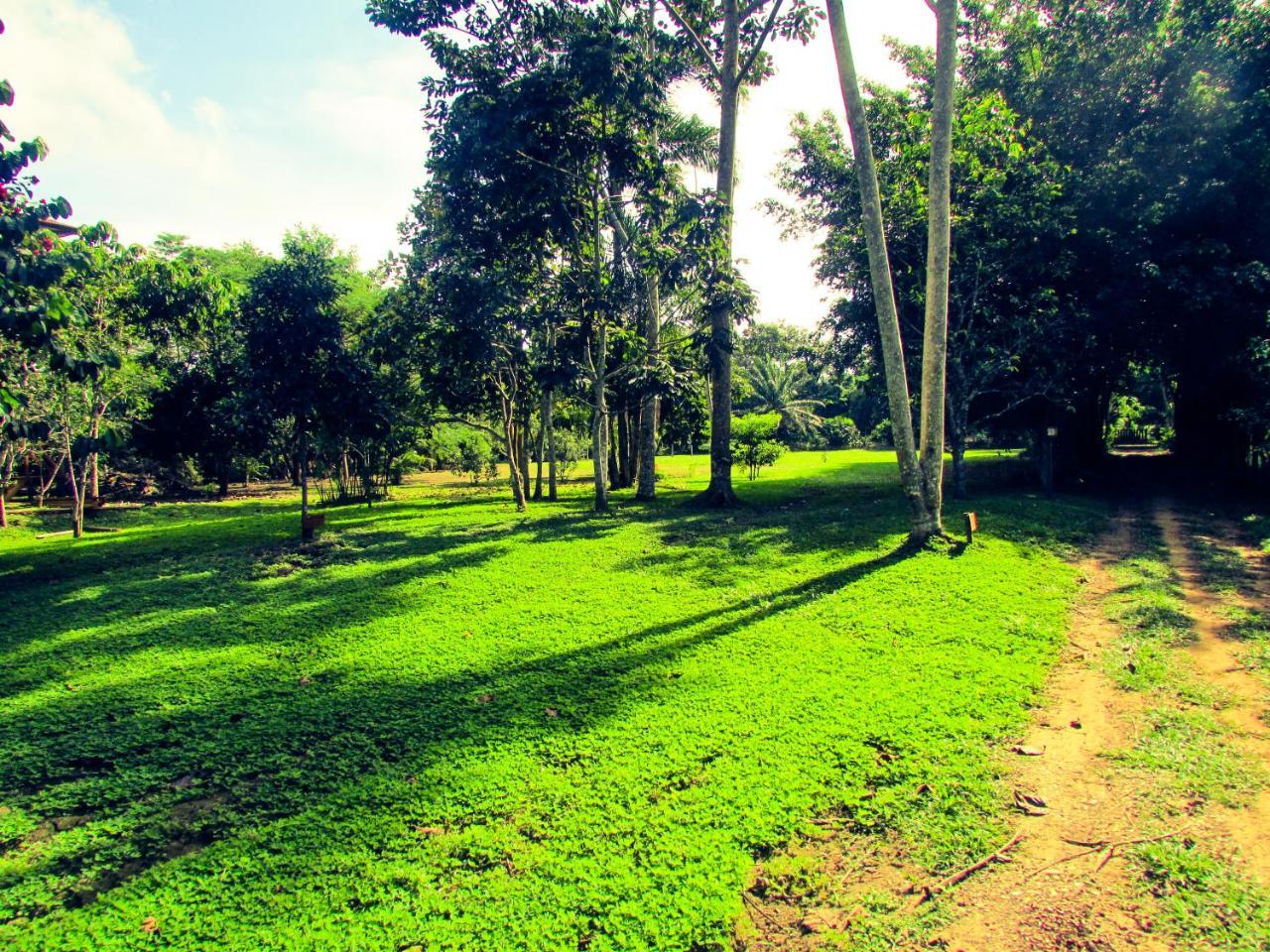 Passiflora Lodge Tambopata ปูแอร์โต มัลโดนาโด ภายนอก รูปภาพ